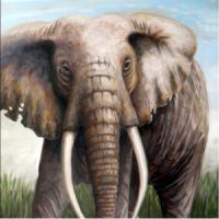 Afrikaanse olifant. Wildlife schilderij.