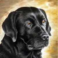 Portret zwarte labrador hond. Olieverf schilderij.