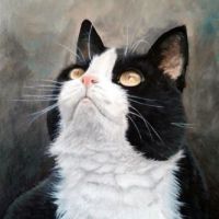 Dierportret van kat met olieverf geschilderd.