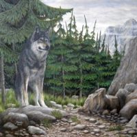 Wolf op rots. Wildlife schilderij met olieverf.