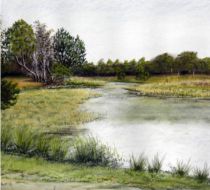 Kiezelven op de strabrechtse heide. Tekening in pastel.