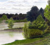 Meeuwven bij Aalst. Getekend met pastelkrijtjes.