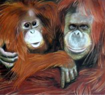 Oerang oetans. Wildlife tekening in pastel.