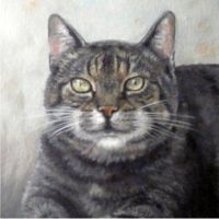 Portret van poes. Geschilderd met olieverf.