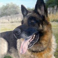 Dier portret van duitse herder. Olieverf schilderij.