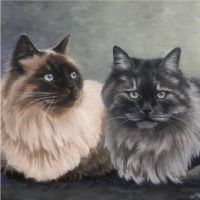 Dubbel portret van 2 poezen. Olieverf schilderij.