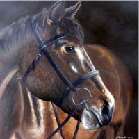 Dierportret van paard. Met olieverf.