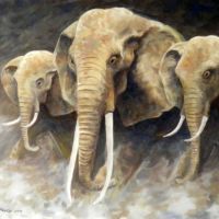 Wilde afrikaanse olifanten. Wildlife art.