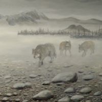 Wolven in de mist. Wildlife art.