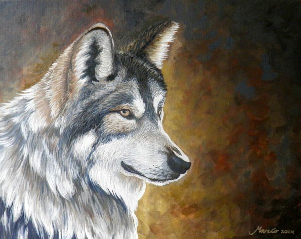 Schilderij van wolf uit Alaska